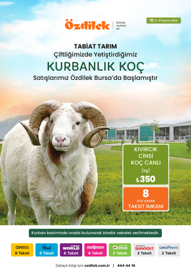 Kışa Özel Fırsatlar