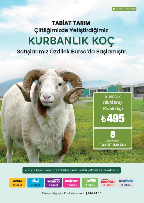 TABİAT TARIM Çiftliğimizde Yetiştirdiğimiz KURBANLIK KOÇ Satışlarımız Özdilek Bursa'da Başlamıştır.